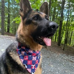 Meet your Posher, Josée